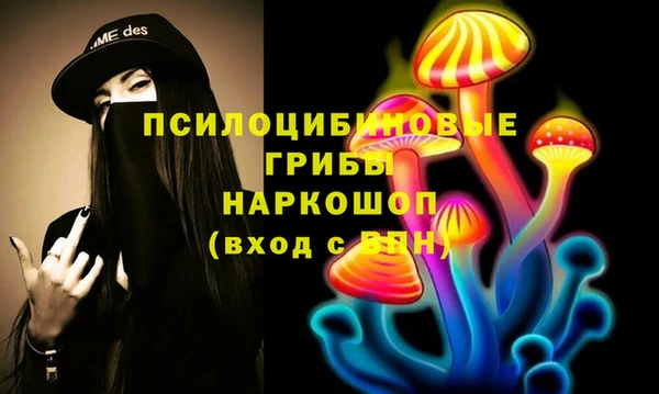 ГАЛЛЮЦИНОГЕННЫЕ ГРИБЫ Алзамай
