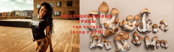 шишки Алексеевка