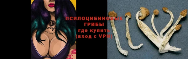 шишки Алексеевка