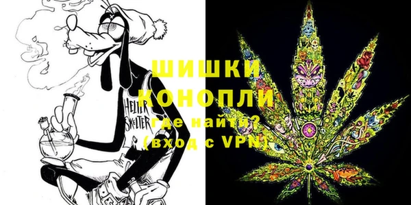 ГАЛЛЮЦИНОГЕННЫЕ ГРИБЫ Алзамай