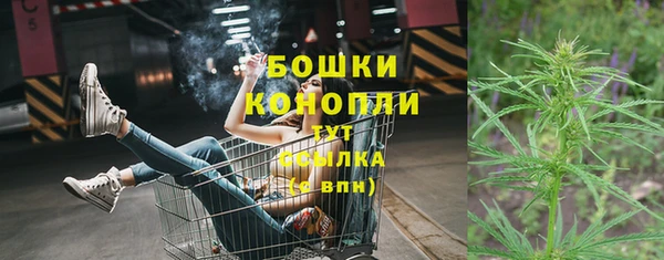 ГАЛЛЮЦИНОГЕННЫЕ ГРИБЫ Алзамай