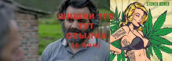 шишки Алексеевка