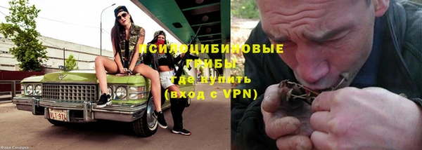 соль ск Алексин