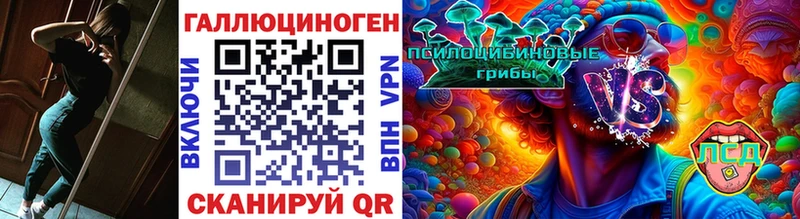 Псилоцибиновые грибы Psilocybe  наркотики  Александровское 